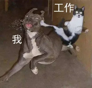 生活，把我安排得明明白白_内涵表情包