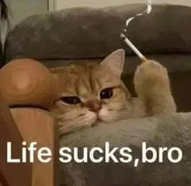 Life sucks,bro（Life sucks,bro）