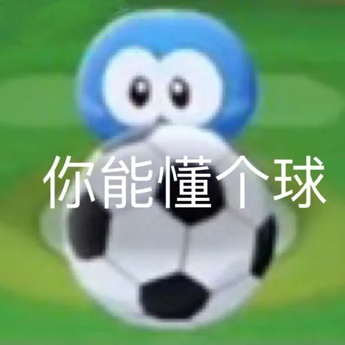 你能懂个球（你能懂个球）