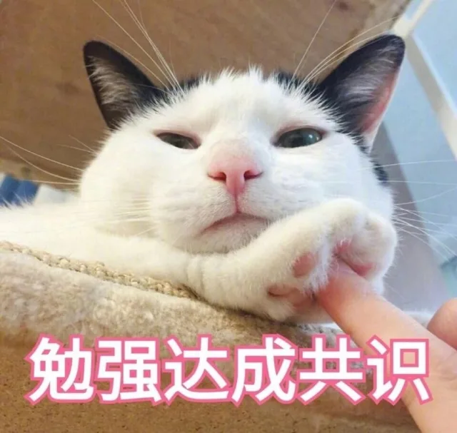 对这种小喵的表情包毫无抵抗力_猫咪_萌萌哒