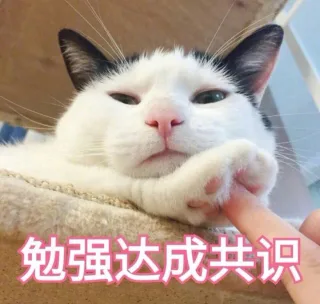 对这种小喵的表情包毫无抵抗力_猫咪_萌萌哒表情包