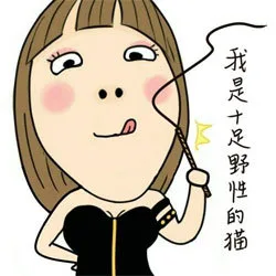 我是十足野性的猫