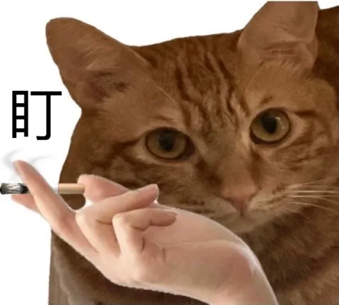 盯