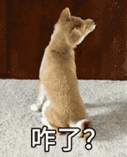 咋了？？