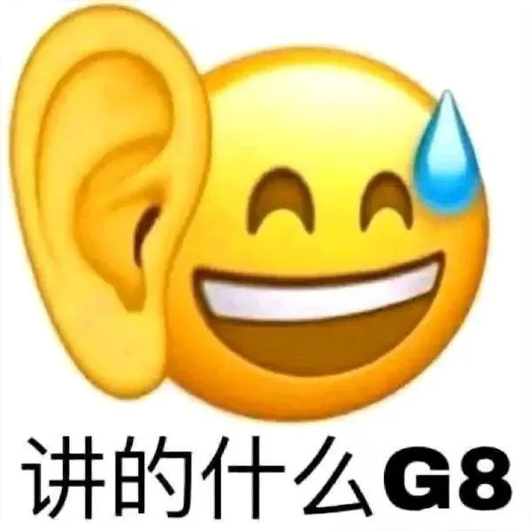 讲的什么G8（讲的什么G8）