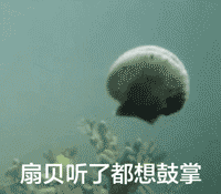 扇贝听了都想鼓掌（扇贝听了都想鼓掌）