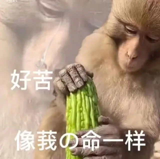 好苦像莪命一样（好苦像莪命一样）