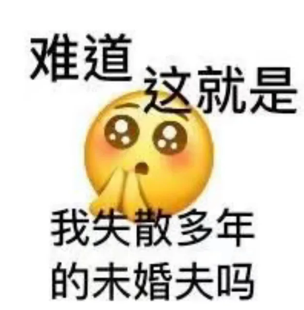 难道这就是我失散多年的未婚夫吗（难道这就是我失散多年的未婚夫吗）