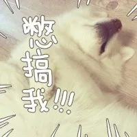 憋搞我！！