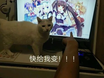 快给我变