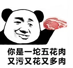 你是一坨五花肉，又污又花又多肉