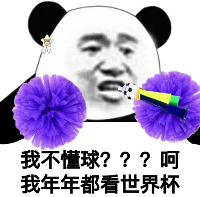 我不懂球???呵我年年都看世界杯（我不懂球???呵我年年都看世界杯）