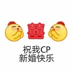 嗑cp专用