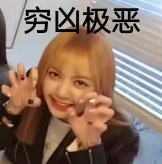 穷凶极恶（Lisa表情包）
