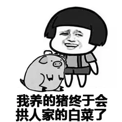 我养的猪终于会拱人教的白菜了（我养的猪终于会拱人教的白菜了）