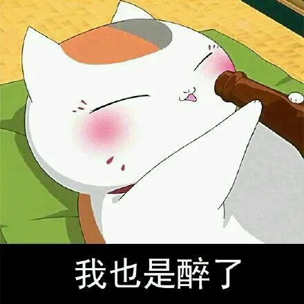 我也是醉了（我也是醉了）