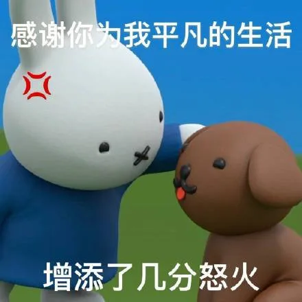 感谢你为我平凡的生活增添了几分怒火
