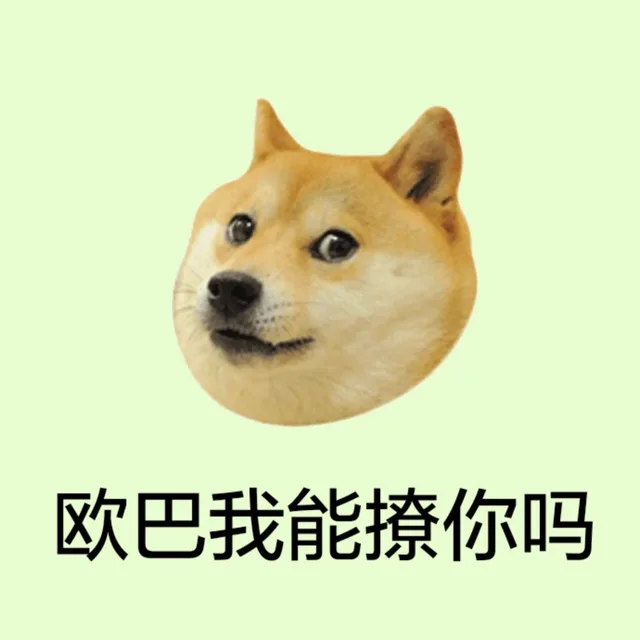 欧巴我能撩你吗