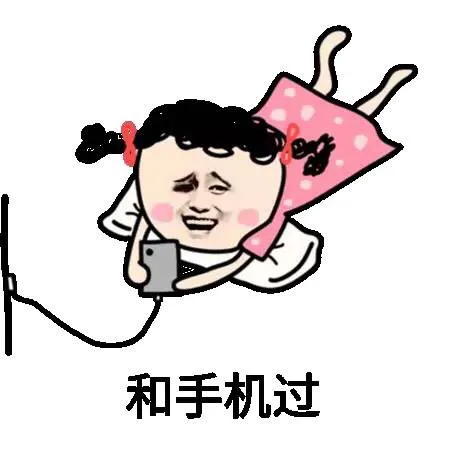 我要和手机过一辈子_装逼_过年表情包