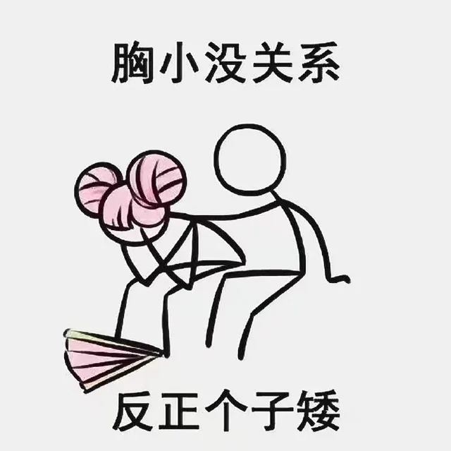胸小没关系，反正个子矮