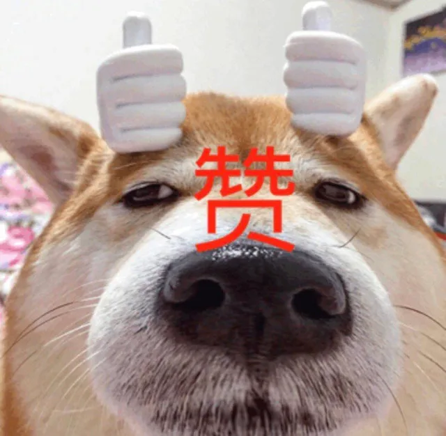 赞（大嘴狗表情包）（赞（大嘴狗表情包））