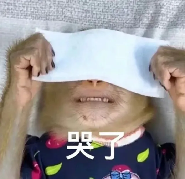 哭了(吗喽表情包)（哭了(吗喽表情包)）