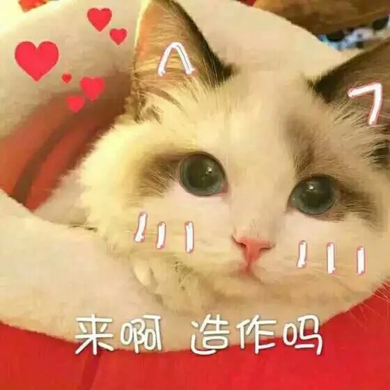 来啊 造作吗