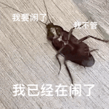 我要闹了我不管我已经在闹了（我要闹了我不管我已经在闹了）