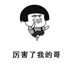 厉害了我的哥（厉害了我的哥）