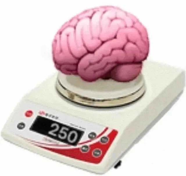2503（2503）