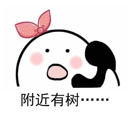 附件有树......