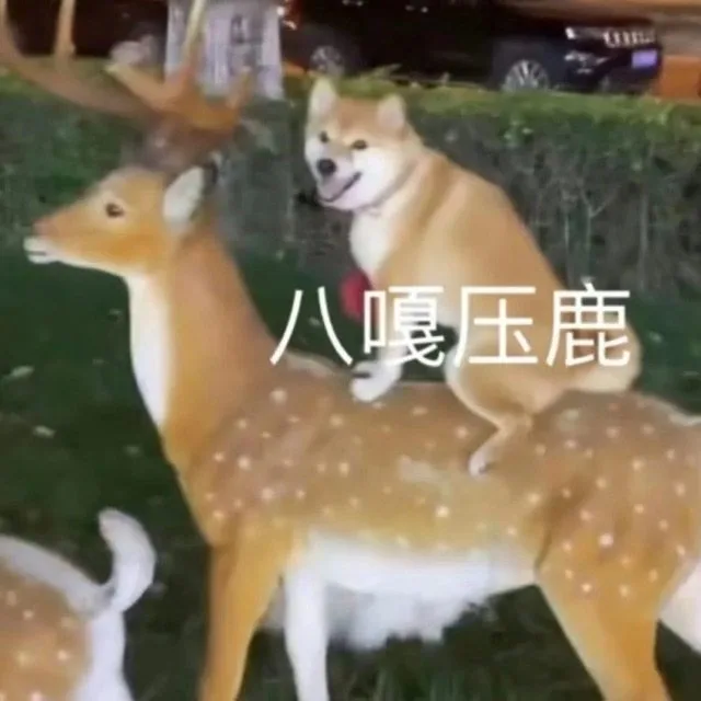 八嘎压鹿（八嘎压鹿）