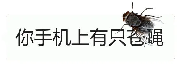 你手机上有只爸绳（你手机上有只爸绳）