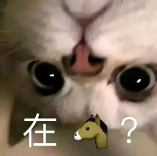 近期斗图表情包精选-2018/11/30表情包