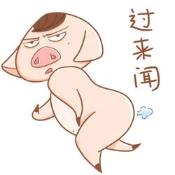 过来闻（过来闻）
