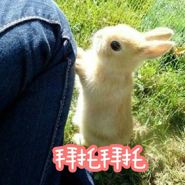 手耗托手耗托（手耗托手耗托）