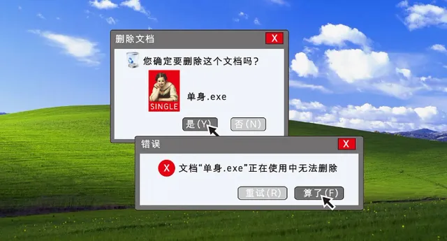 删除文档您确定要删除这个文档吗?单身exeSINGLE 否(N)错误文档“单身.exe正在使用中无法删除重试(R)算了(F)