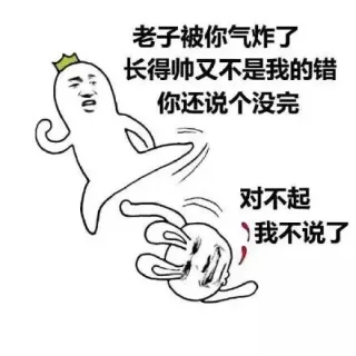 老子被你气炸了 长得帅又不是我的错 你还说个没完 对不起 我不说了