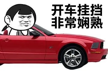 开车挂档 非常娴熟（女司机）_女司机表情包
