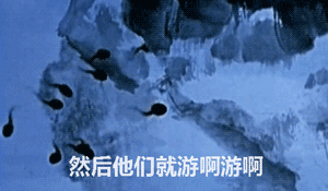 然后他们就游啊游