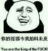 你的淫荡令我始料未及