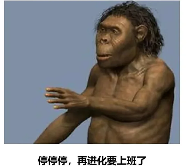停停停，再进化要上班了（停停停，再进化要上班了）