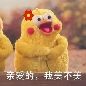 亲爱的，我美不美