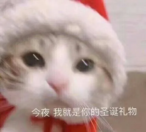 今夜我就是你的圣诞礼物（今夜我就是你的圣诞礼物）