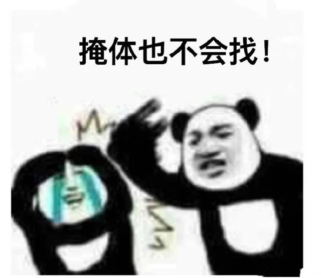 掩体也不会找（掩体也不会找）
