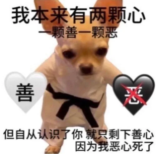 我本来有两颗心一颗善一颗恶善但自从认识了你就只剩下善心因为我恶心死了（我本来有两颗心一颗善一颗恶善但自从认识了你就只剩下善心因为我恶心死了）