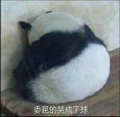 委屈的哭成了球