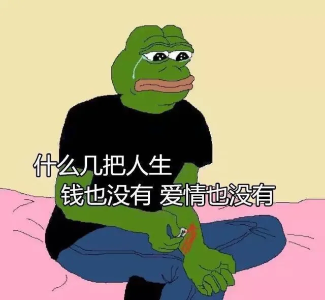 什么几把人生，钱也没有，爱情也没有（什么几把人生，钱也没有，爱情也没有）