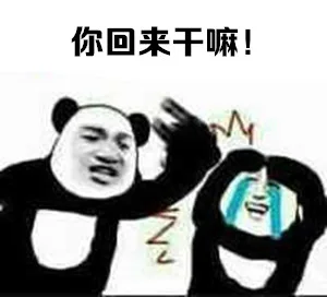 你回来干嘛！（你回来干嘛！）
