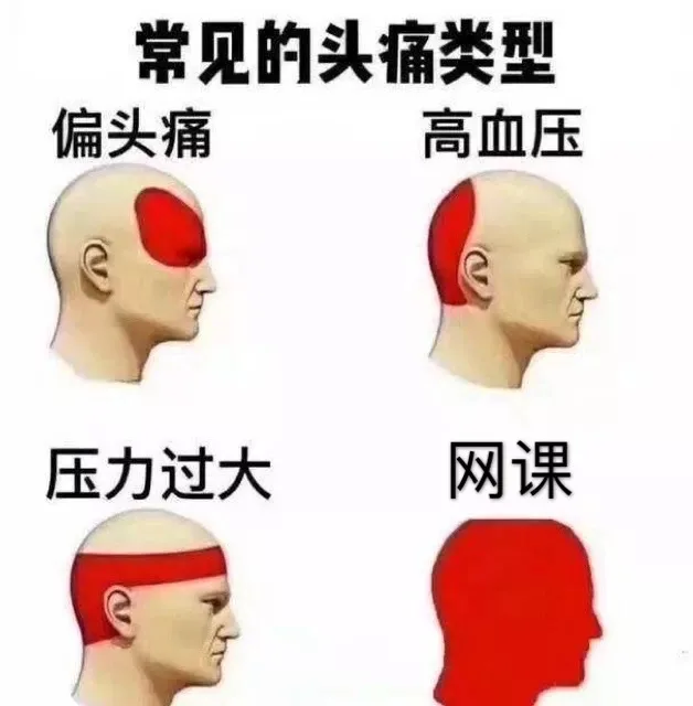 上网课